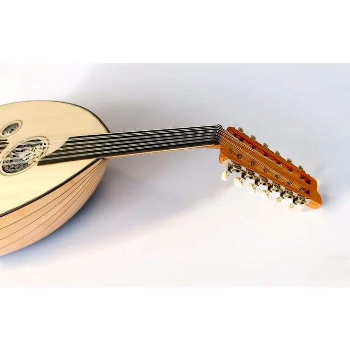 Maple Turkish electric oud AOK-206G by Sala
