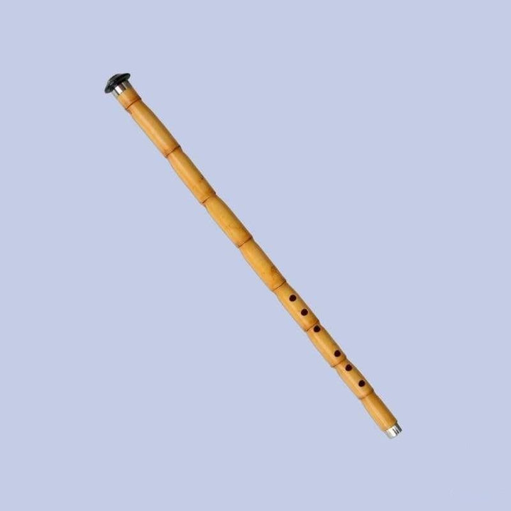 Dest professional Turkish ney RNH-404 with horn baspare mouthpiece