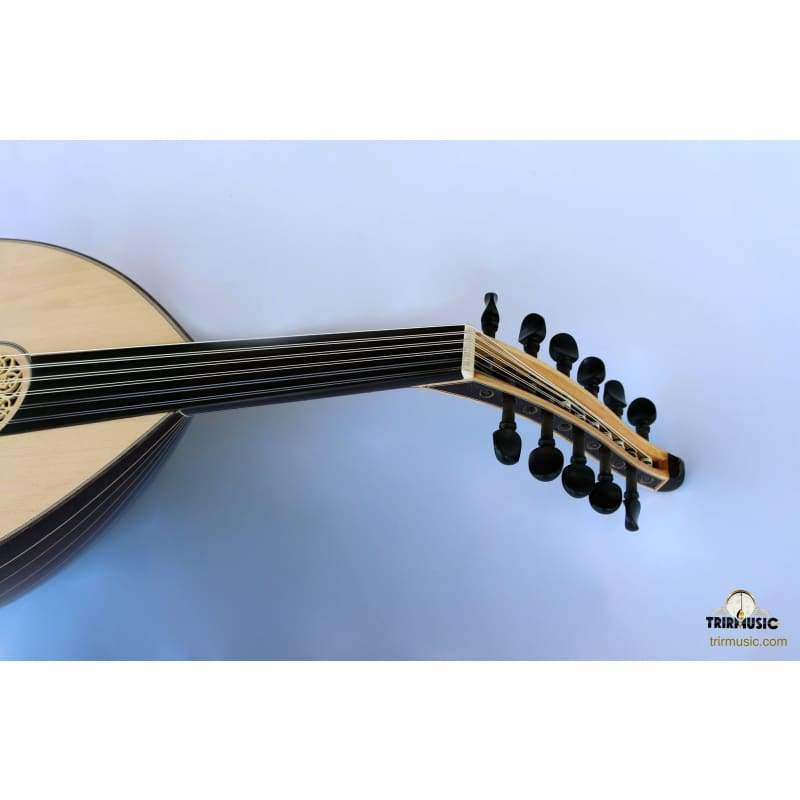 Professional Turkish Oud HSO-308