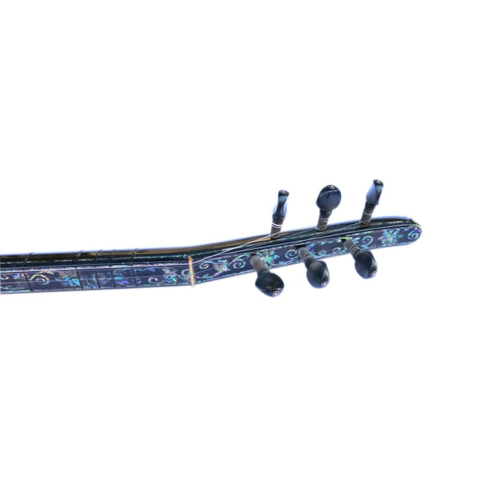 Special Turkish electric baglama SES-1 by Sala Muzik