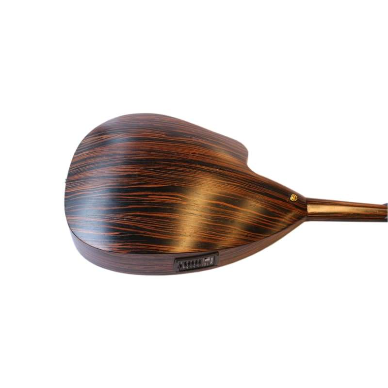 Mehmet Caymaz electric oud PROUD-4
