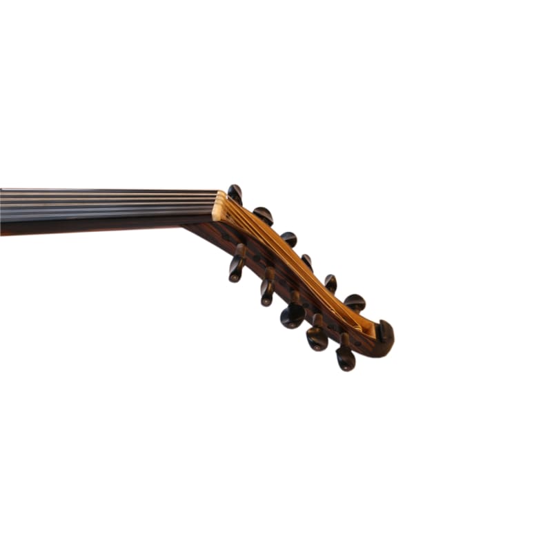 Mehmet Caymaz electric oud PROUD-4