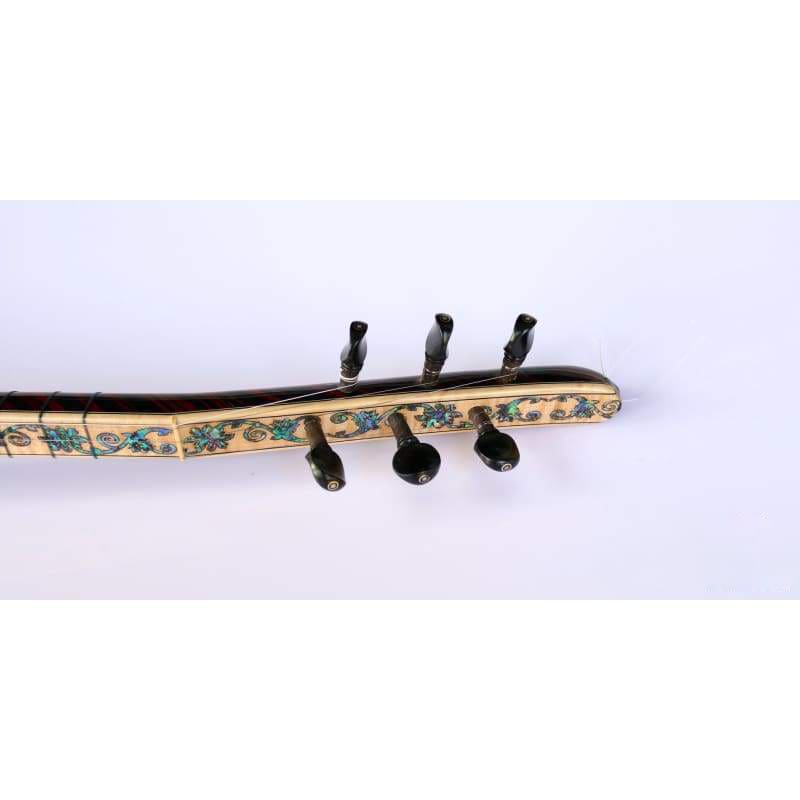 Special electric baglama SES-203N by Sala for stage performance