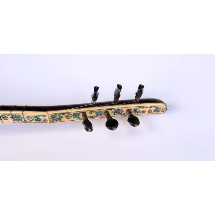 Special electric baglama SES-203N by Sala for stage performance