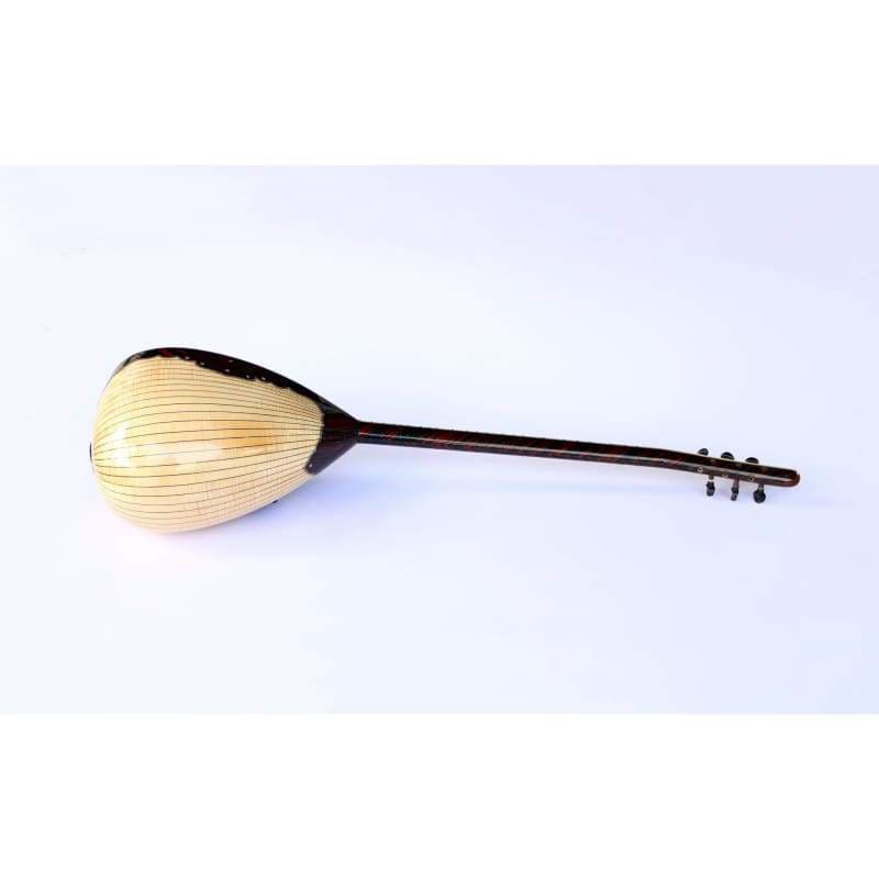 Sala special electric baglama saz SES-203N