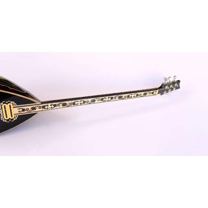 Special electric baglama SES-308GB by Sala