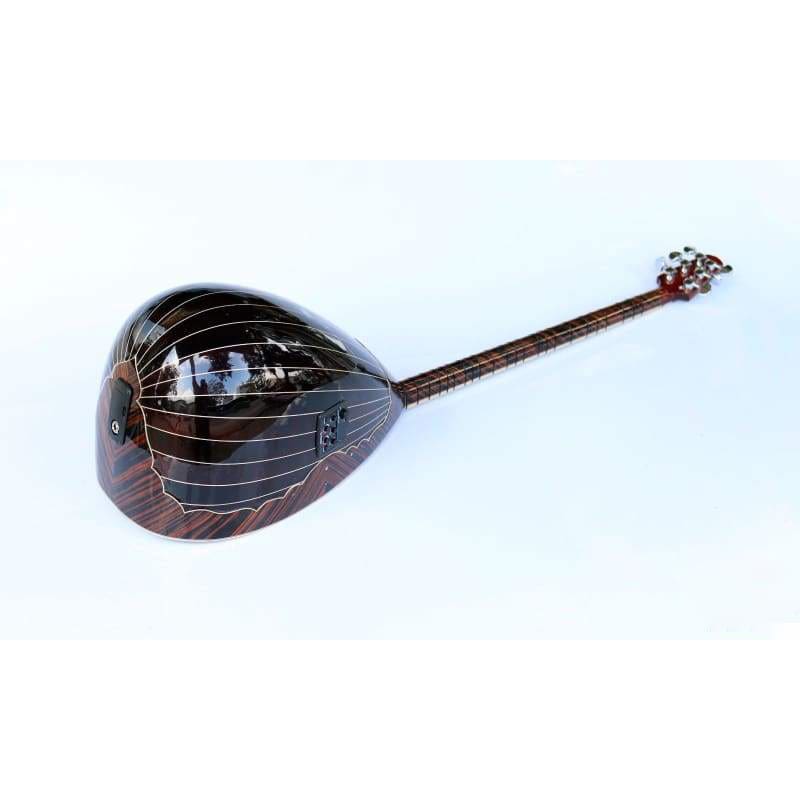 Long neck electric baglama SES-408G by Sala