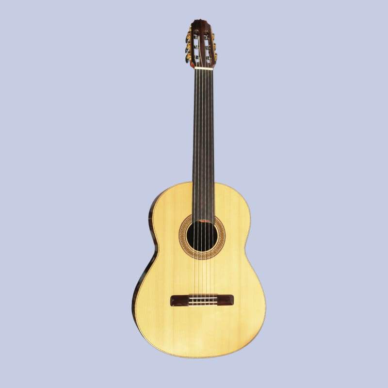 Sero Special Quality Fretless Classical Guitar SGP-404