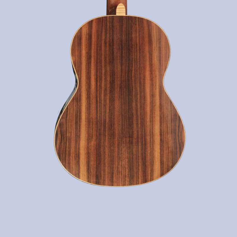 Special Quality Fretless Classical Guitar SGP-404