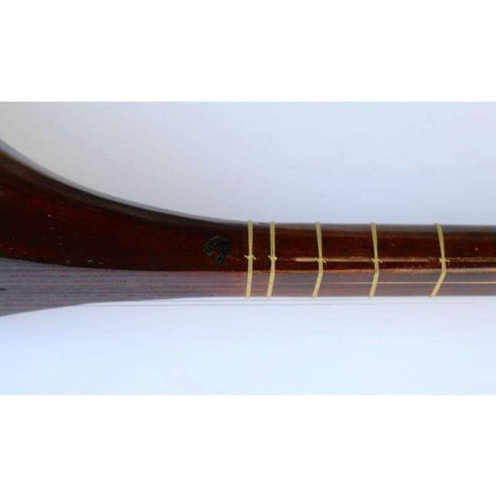Nava Tanbur By Master Nava