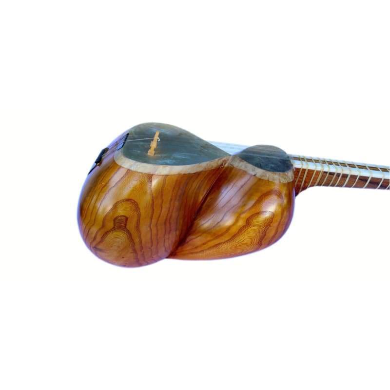 Persian tar ET-205 by Afshari with mulberry body and camel skin