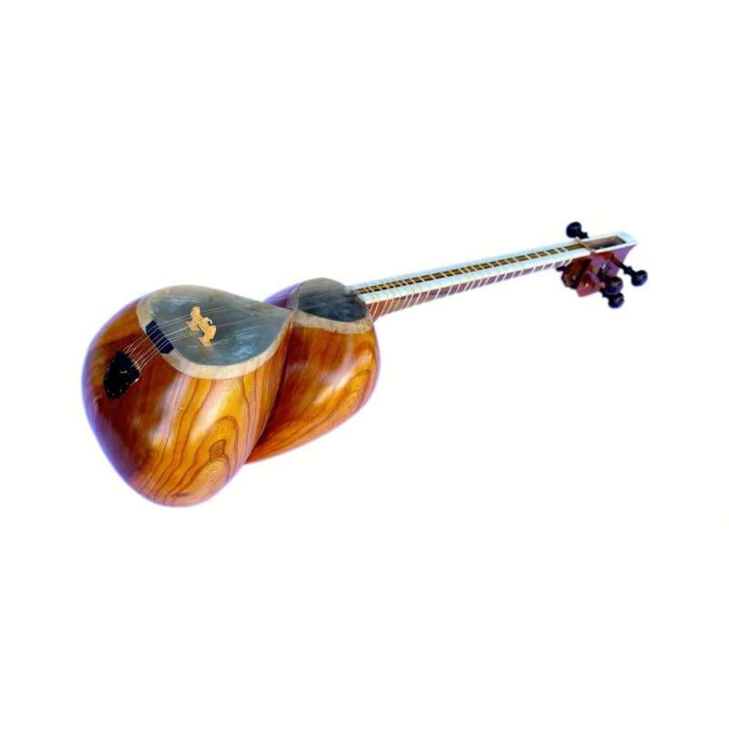 Afshari Persian tar ET-205 luthier instrument mulberry body