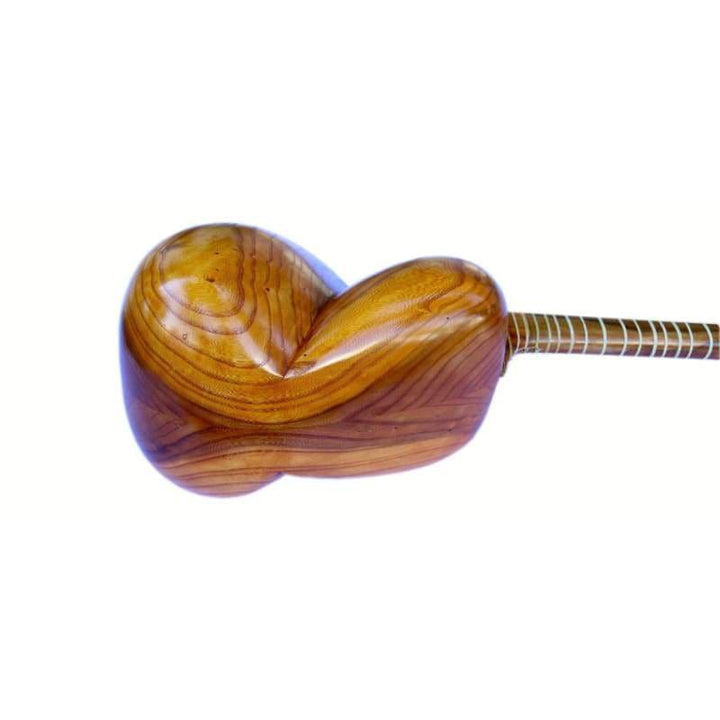 Afshari tar ET-205 stringed Persian instrument camel skin head