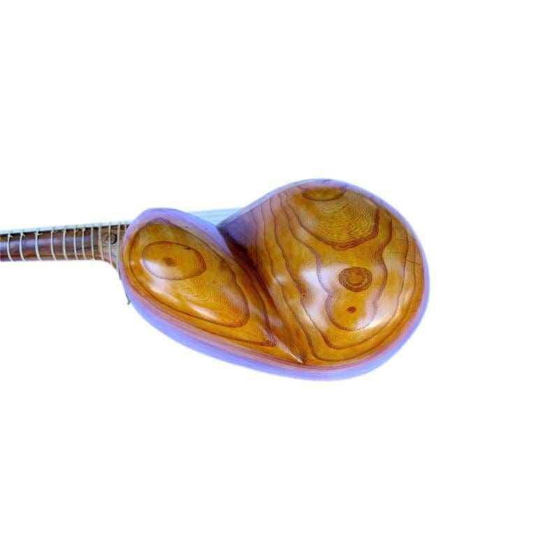 Persian tar ET-205 by Afshari traditional plucked instrument