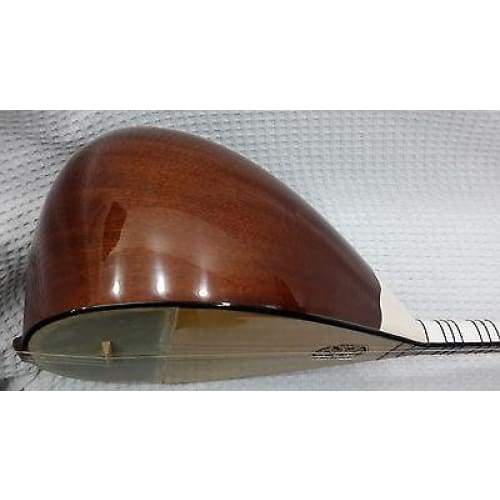 Bagtar hybrid baglama and tar by Trir Music