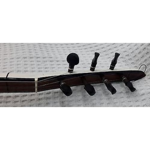 Bagtar hybrid baglama and tar by Trir Music