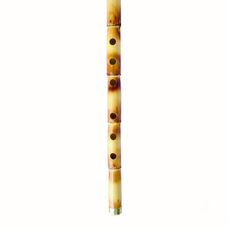 Dest Turkish ney AKN-201 handmade traditional reed flute