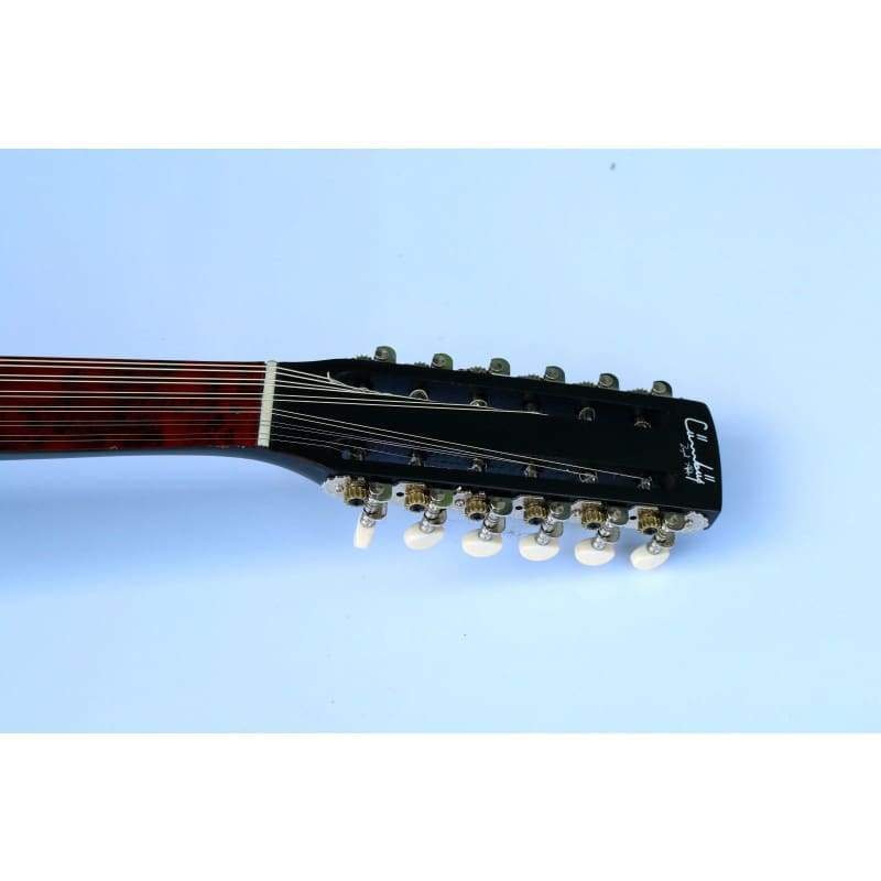 Zeynel Abidin Turkish cumbus concert instrument