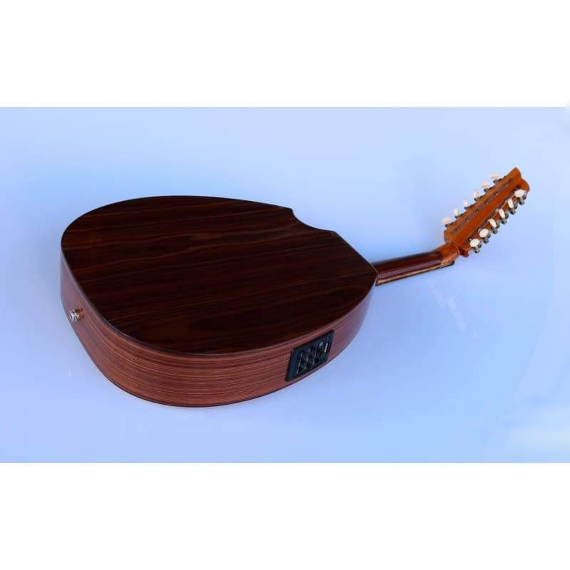 Turkish Professional Electric Oud AOH-302G