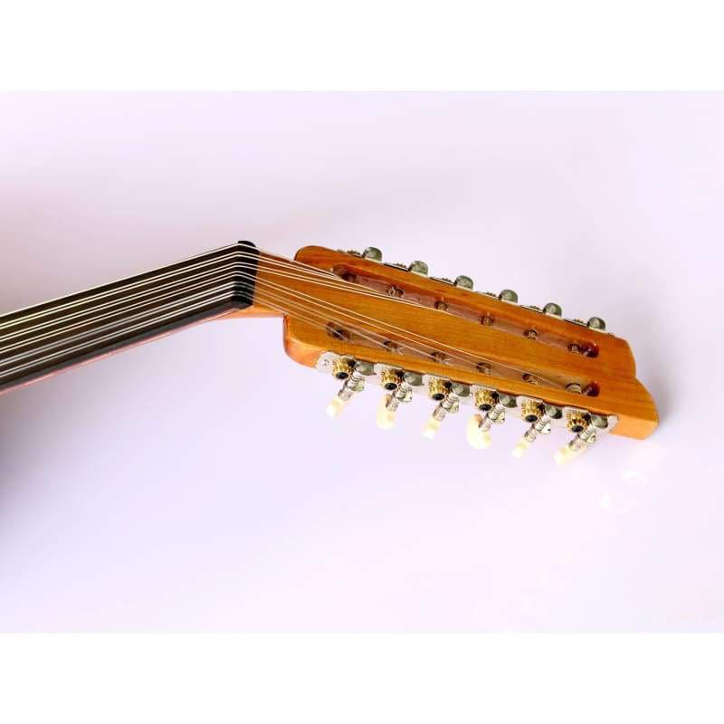 Professional Turkish electric oud AOK-301G by Sala Muzik