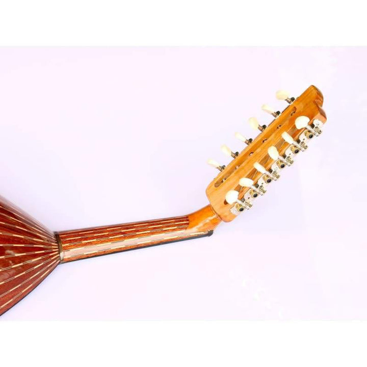 Mahogany Turkish electric oud AOK-301G by Sala