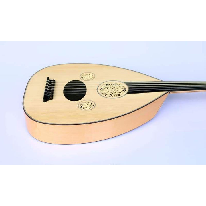 Professional Turkish electric oud OUDE 3 with soft case and accessories